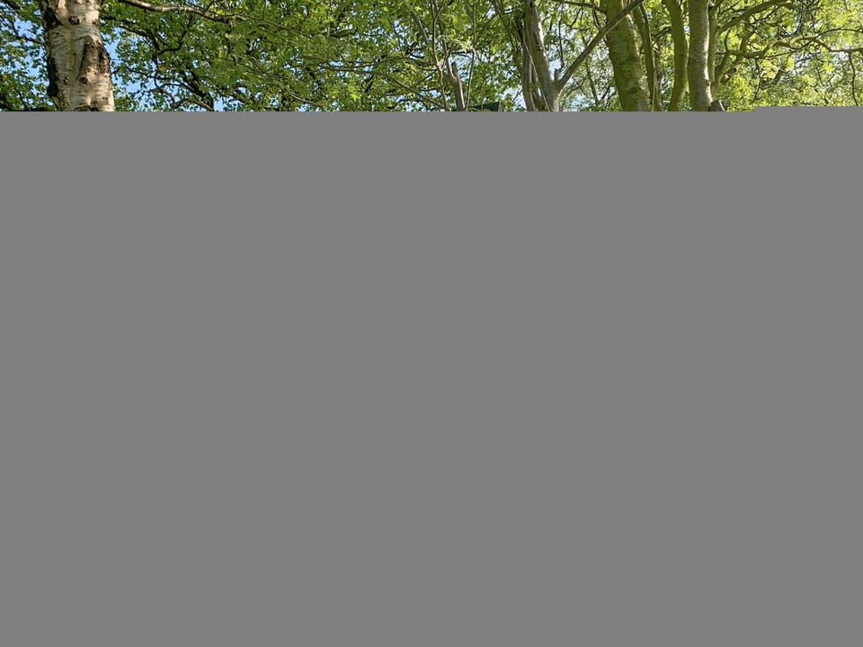 Woodland cabin | Wheatsheaf Cottage - Granary Farm Cottages, Sawdon, near Scarborough