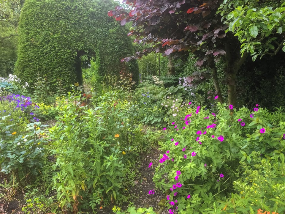 Enclosed mature garden | Pear Tree Cottage and The Granary, East Witton, near Leyburn