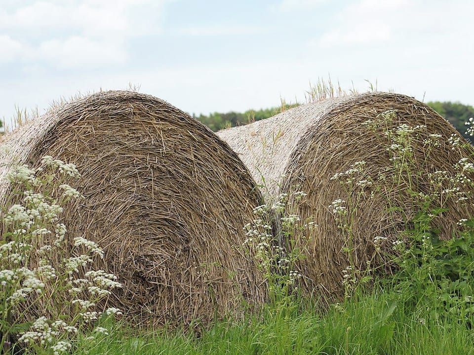 Aspects of the rural life can be found everywhere | Martin Lane Farm Cottages, Burscough, near Southport