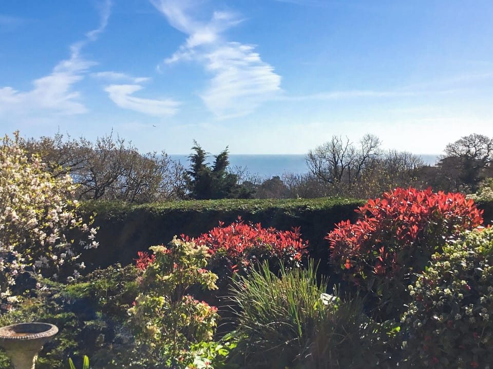 View | The Lookout, Cockington, near Torquay