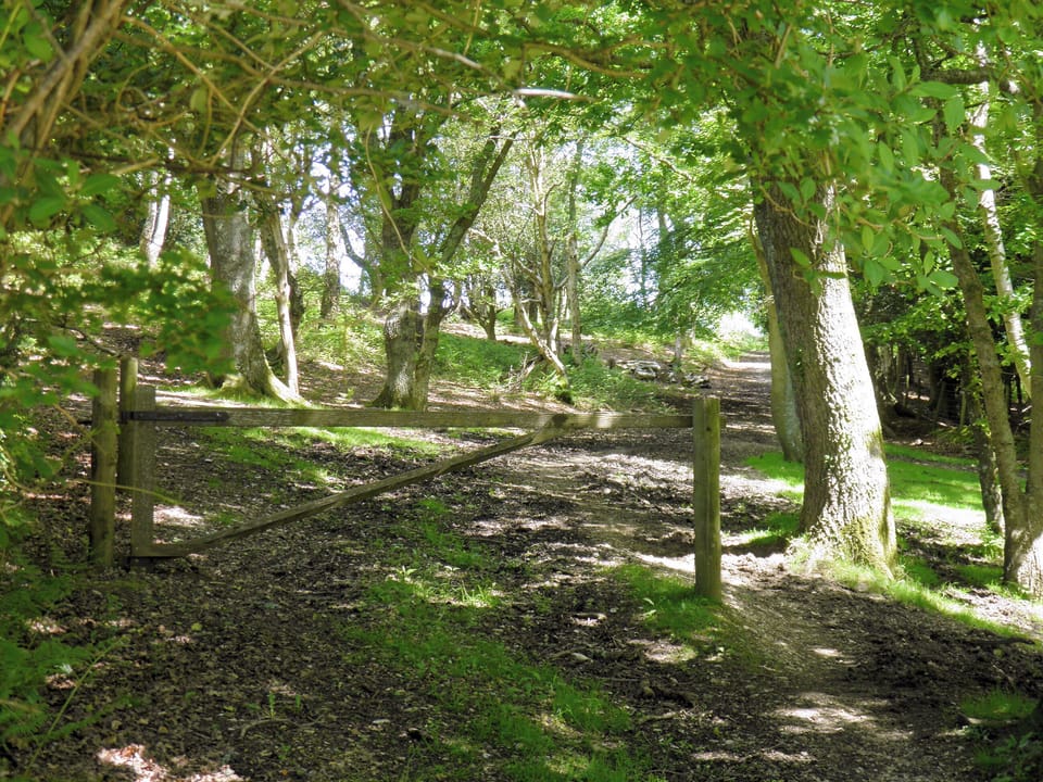 The property has access to miles of woodland and countryside walks from the doorstep | Weaver&rsquo;s Lodge, North Gorley, near Fordingbridge