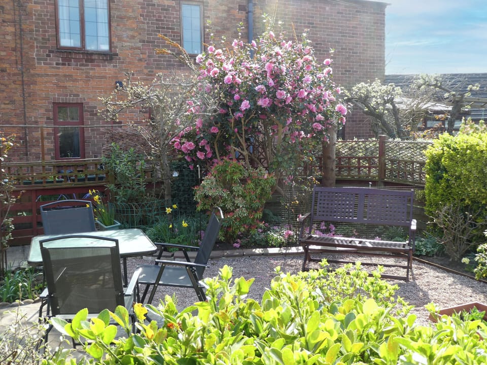 Garden | High Bank, Bunbury