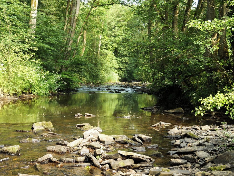 River Onny at the bottom of Riverfield | Burrills View, Horderley, near Craven Arms