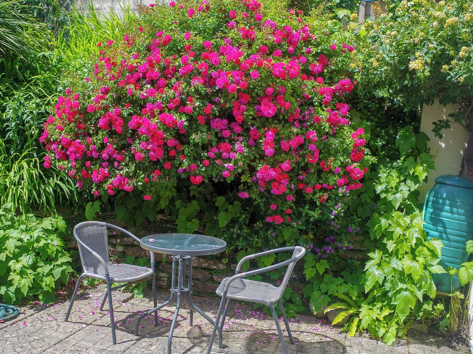 Patio | Little Lookover, Porth, near Newquay