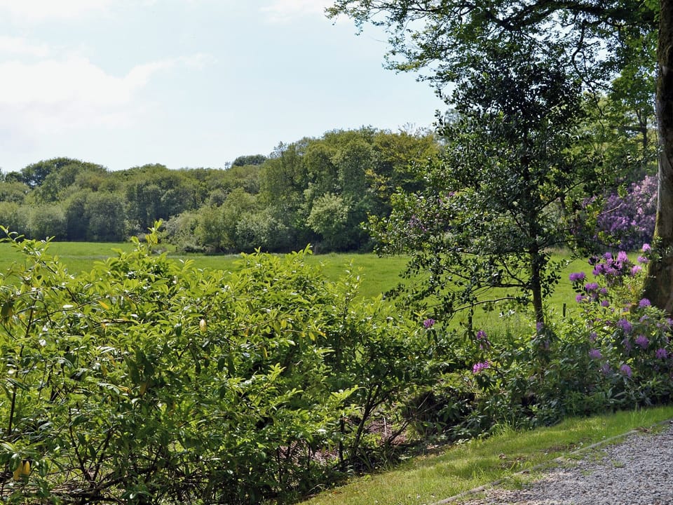 Surrounding area | Berridon Hall Lodges - Roscarrock, Bradworthy, nr. Holsworthy