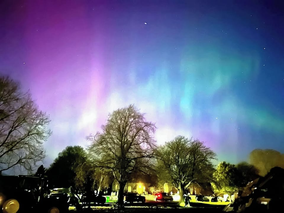 Surrounding area | Piglet Cottage - Soppit Farm Cottages, Elsdon