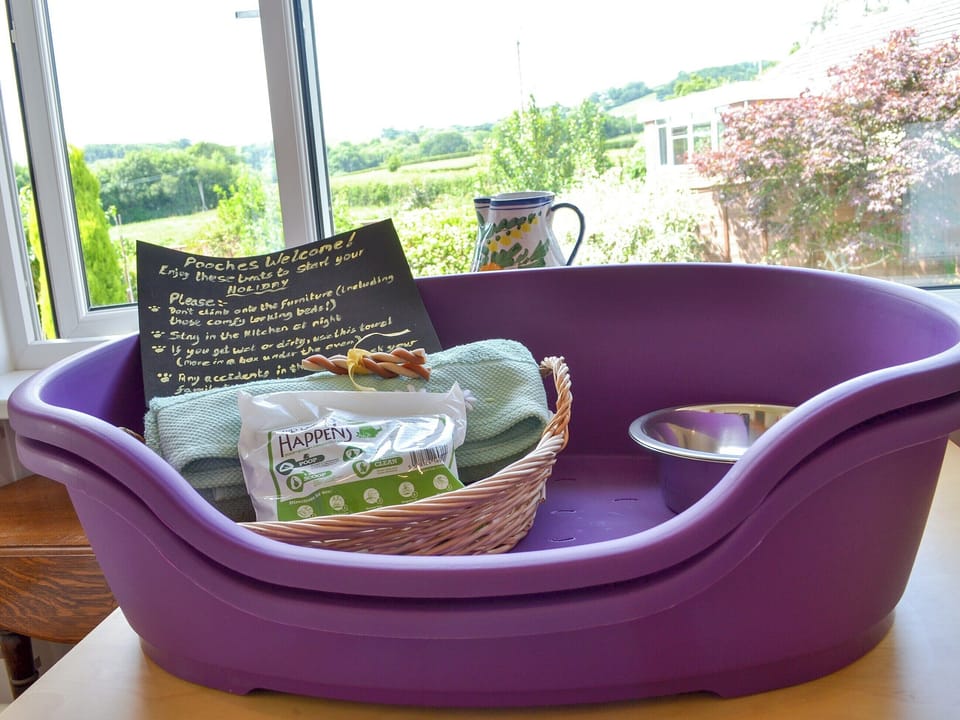 Pets welcome | Dart Corner, Bovey Tracey