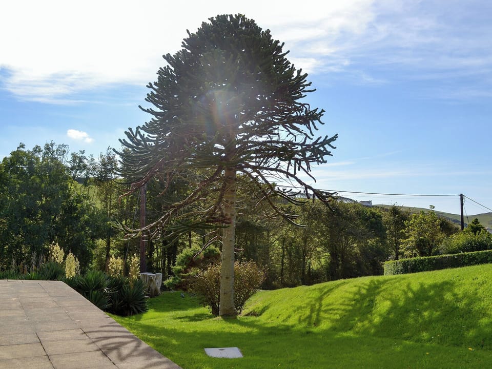 View | West Park, Hope Cove, near Kingsbridge