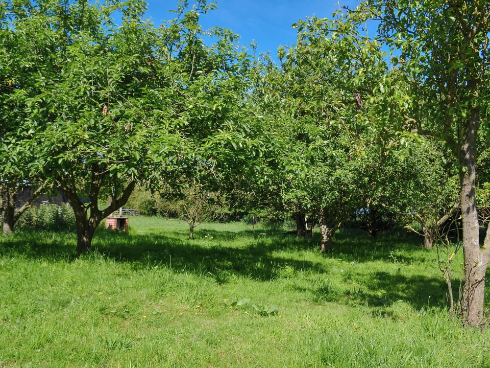 Garden and grounds | Cowslip Cottage - Wildmore Cottages, New York, near Boston