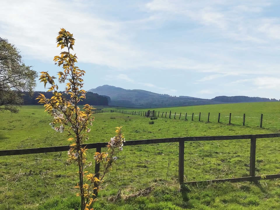 View | Heathfield, Denholm