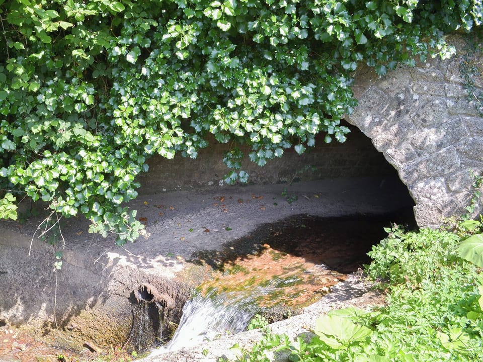 Relax by the stream in the garden | The Piglet, Sidbury, near Sidmouth