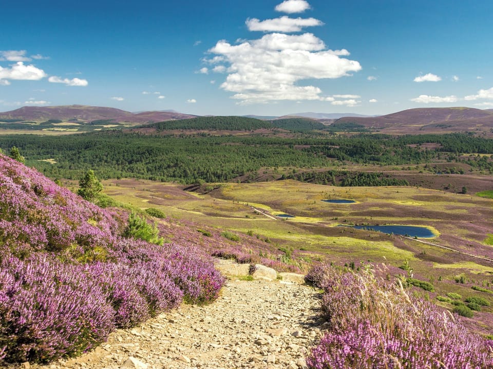 Cairngorms National Park