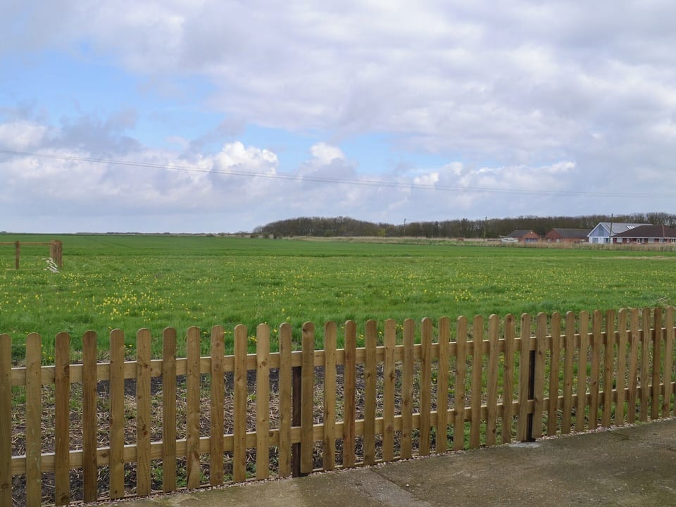 View | Seagrass, Anderby Creek, near Skegness