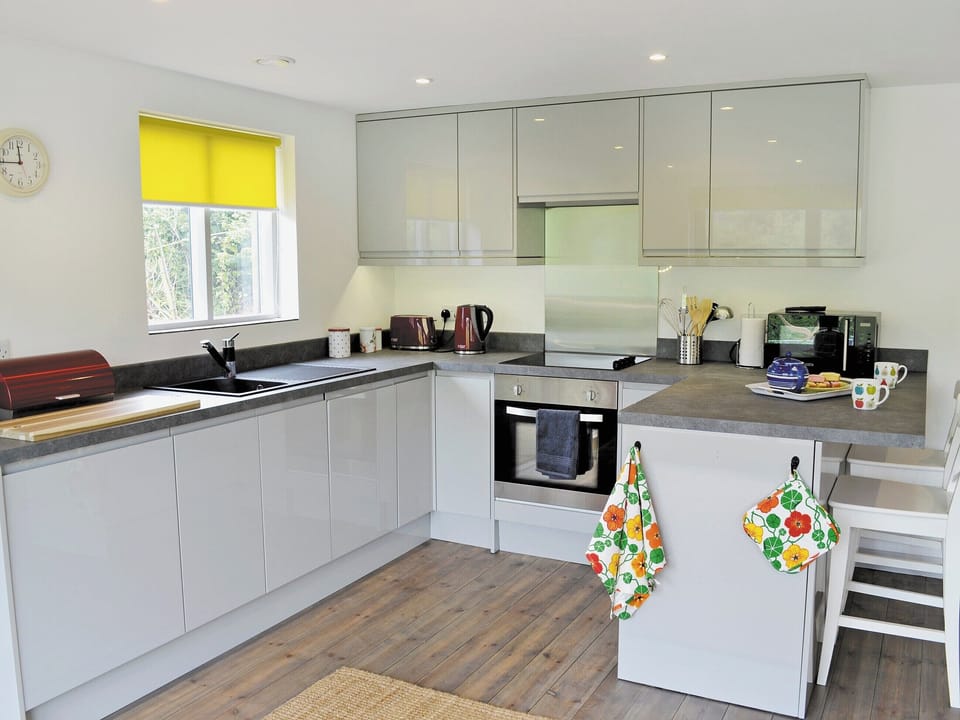 Well equipped kitchen area | The Shed with a View, Cadbury, near Crediton