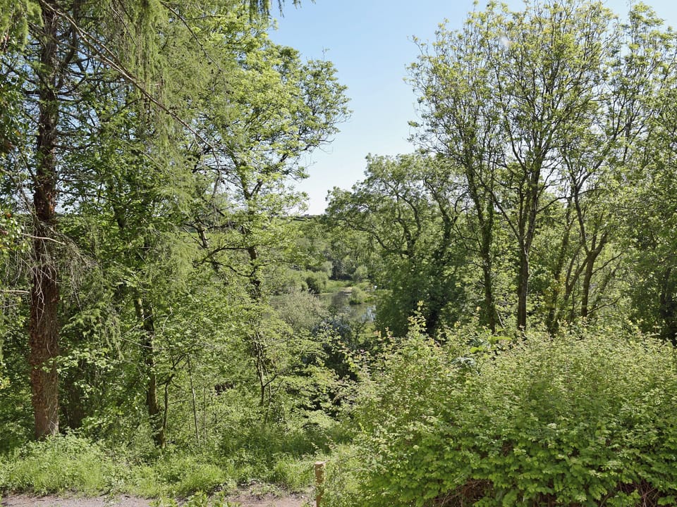 Beautiful views overlooking the lake | Tan Y Castell, Llanmill, near Narberth