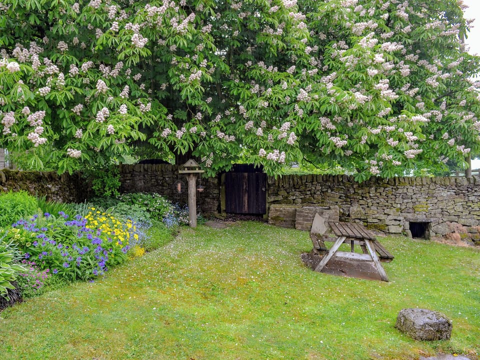 Delightful garden | Spring Cottage, Hollinsclough, near Buxton