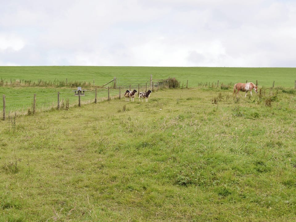Surrounded by open countryside | Bryneirin, Bwlchyfadfa, Talgarreg