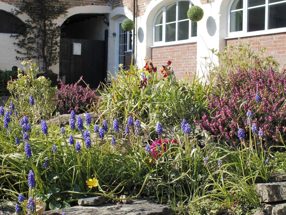 Lovely flower beds at front of property | Dairy Cottage, Barnstaple
