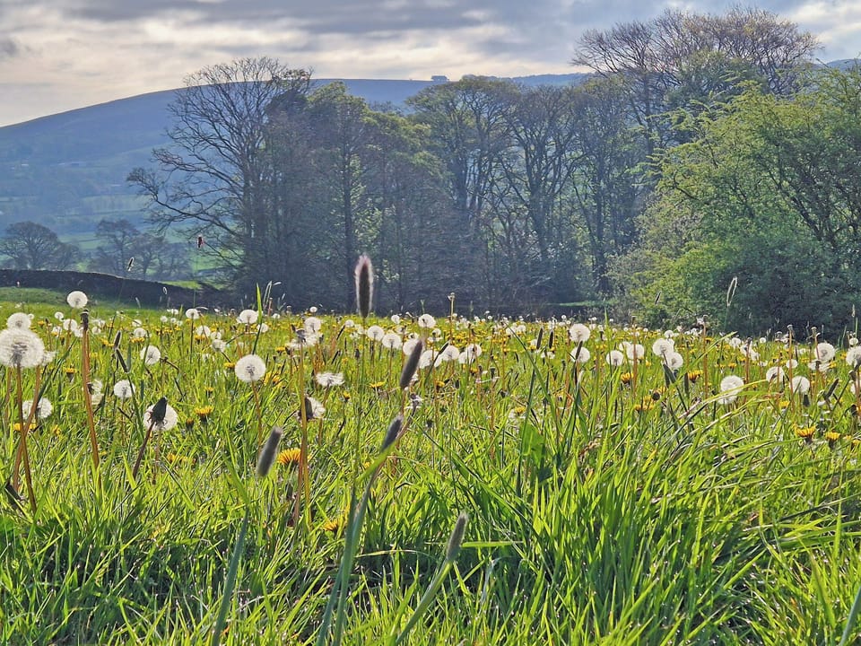 Surrounding area | Hollin Bank Cottage, Salterforth, near Barnoldswick
