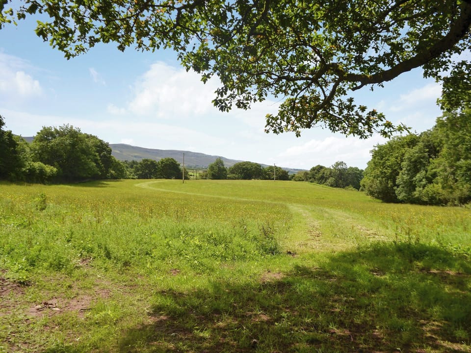 Owners wild flower meadow | Bramble Cottage Mountain Retreat, Llanddeusant, near Llangadog