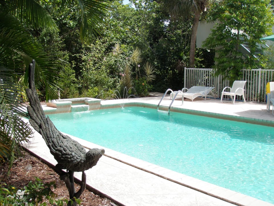 Pool: shallow and deep end pool.