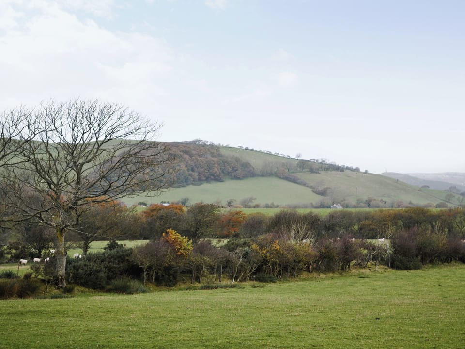 View | Bryncrwn Cottage, Llanfarian, Aberystwyth