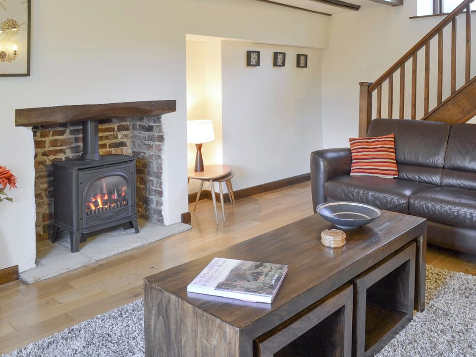 Cosy, gas coal fire in living room | Daisy Cottage, Thornton-le-Dale