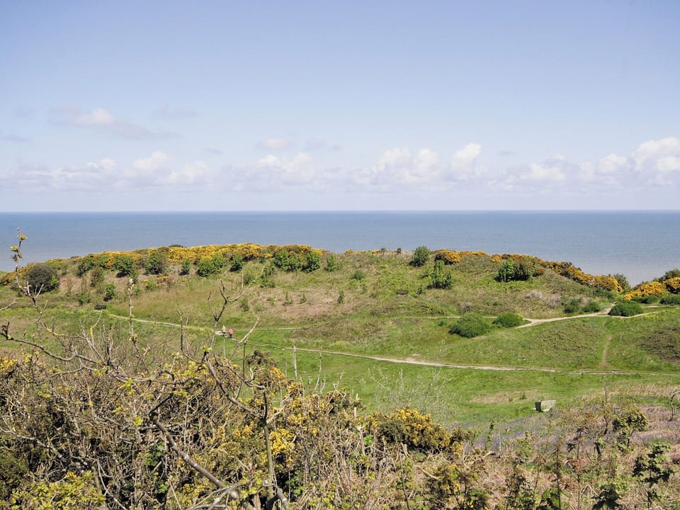 Surrounding area | Pine View, Cromer