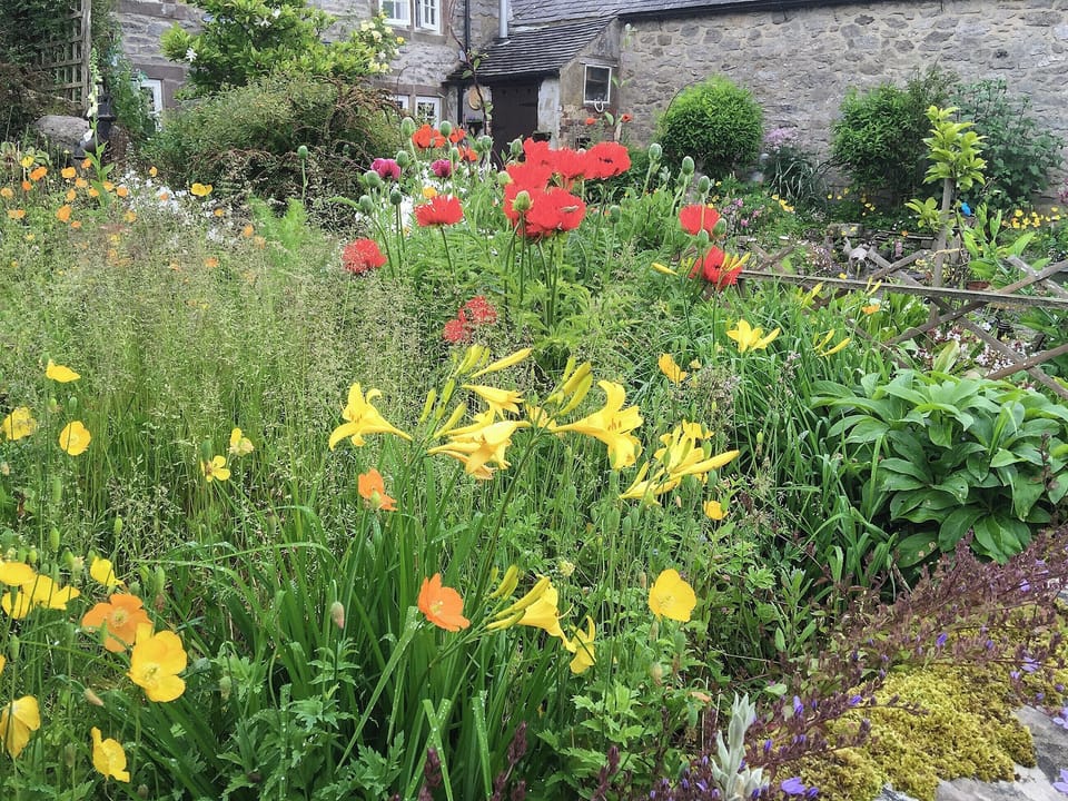 Traditional mid terrace miner&rsquo;s cottage | Wild Flower Cottage, Youlgreave, near Bakewell