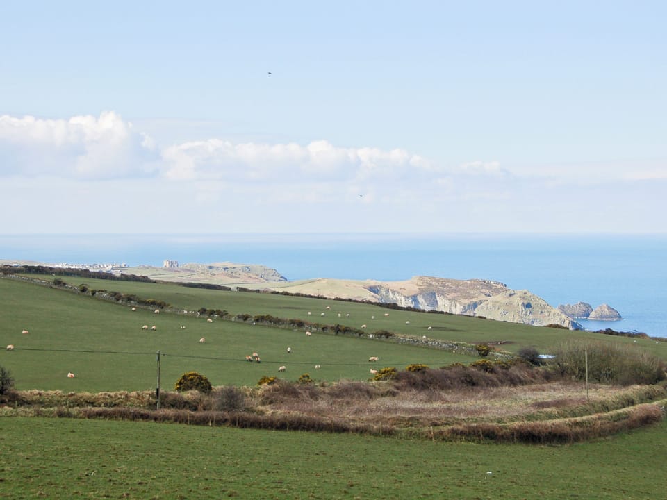 Surrounding area | Kilcummer Stables, Tintagel