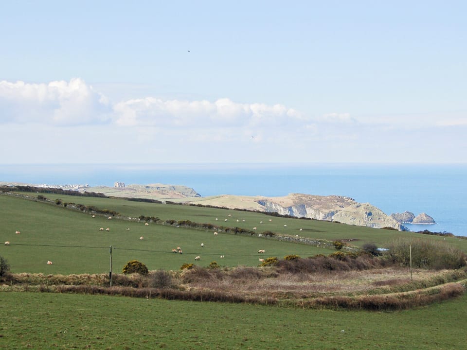 Surrounding area | Kilcummer Stables, Tintagel