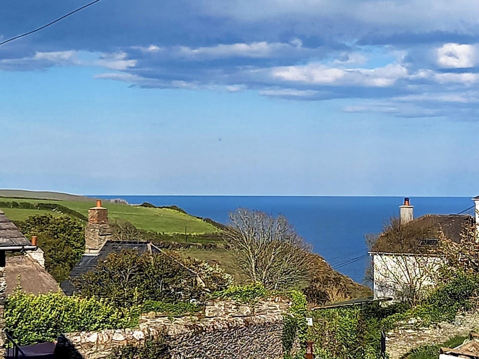 Lovely local view | The Shippen, East Prawle