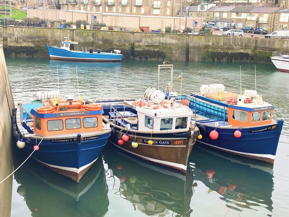 Fishing boats in the harbour | Dipper Cottage, Seahouses
