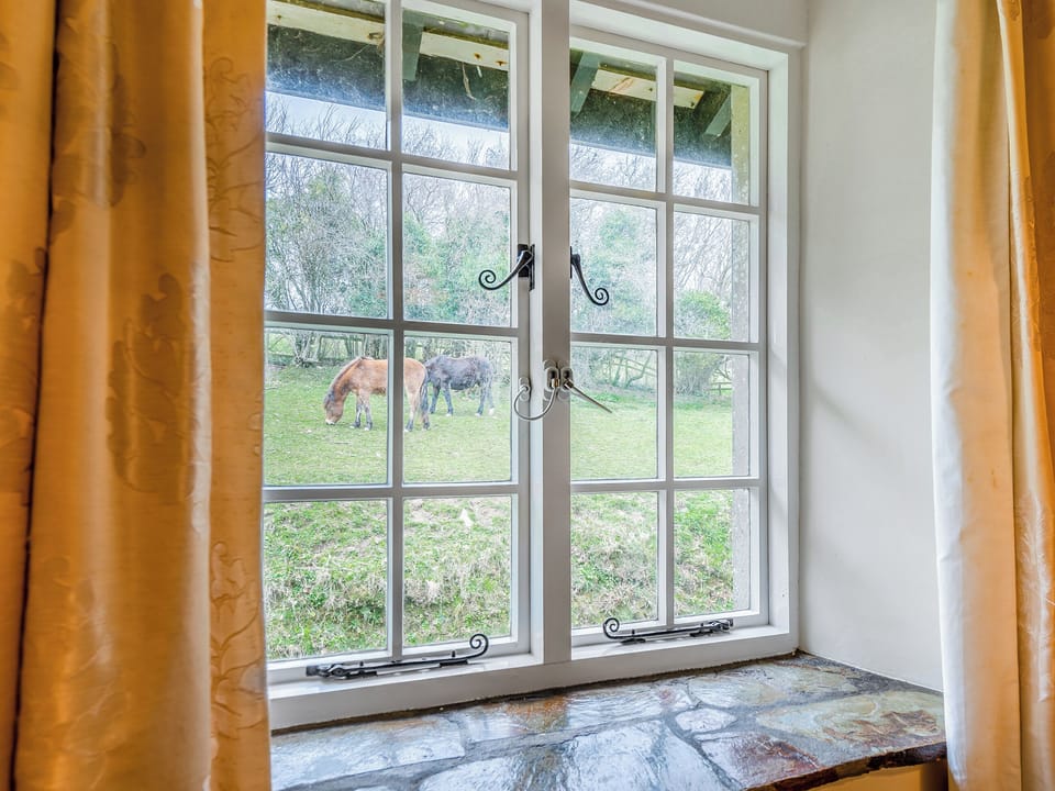 View | Granary Cottage - Cleave Farm, Chittlehampton, near Umberleigh