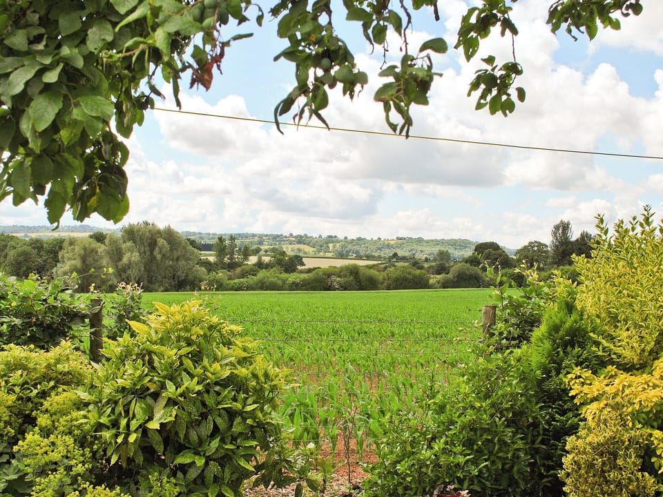 View | Bank Cottage, Rochford, Tenbury Wells