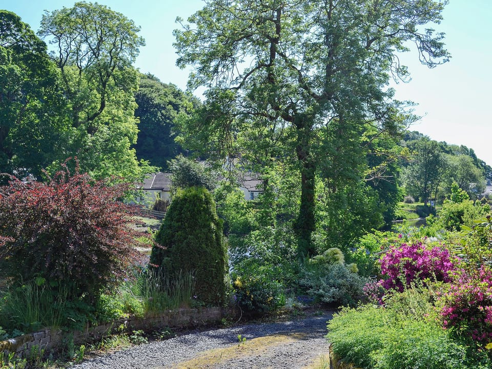 Secluded and peaceful cottage close the the Galloway Forest Park | Riverside, Newton Stewart