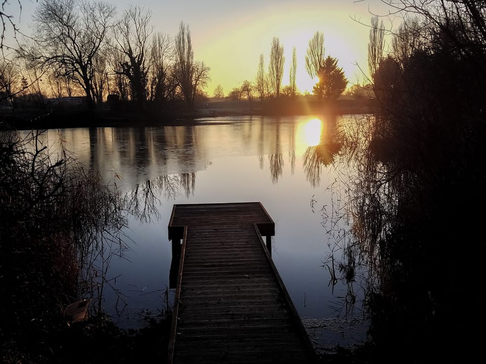 Garden and grounds | Peacock Barn, Timberland, near Woodhall Spa