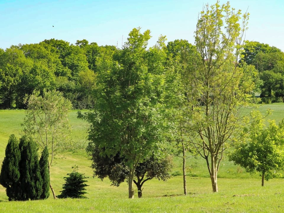 Surrounding area | The Goyle - Lawpit Lodges, Uplowman, near Tiverton