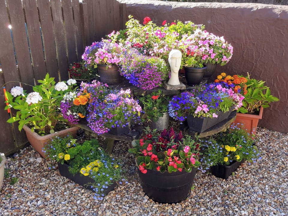 Pretty garden area | The Den - Ty Copr, Pen-y-Sarn, near Amlwch