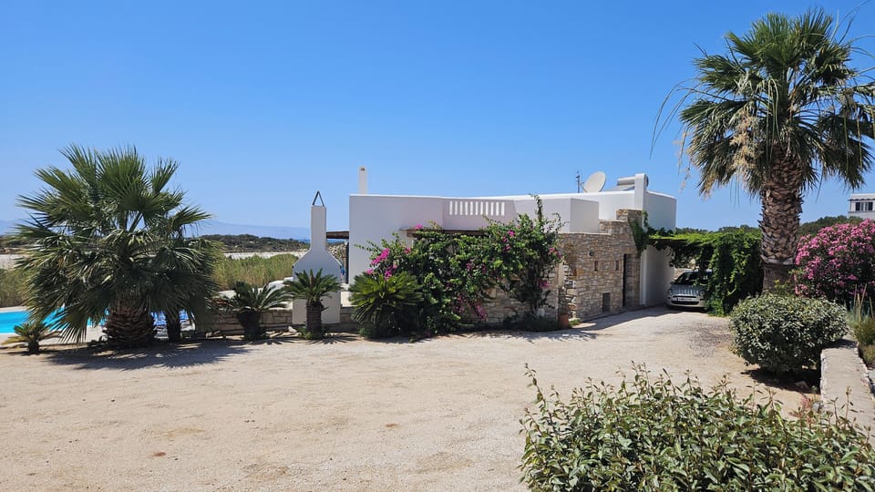 Garden behind villa with palms