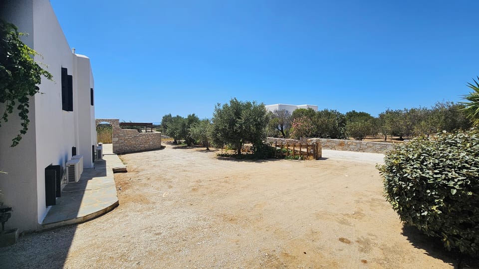 Olive trees on north side of villa (wide angle)