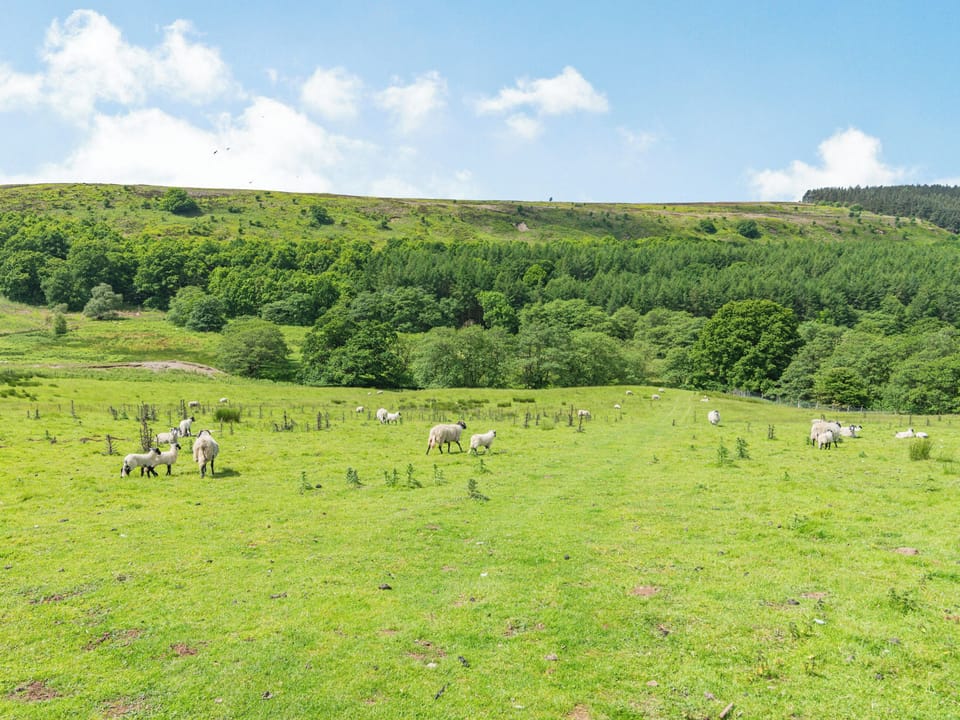 Surrounding area | The Wheelhouse, Swainby, near Stokesley