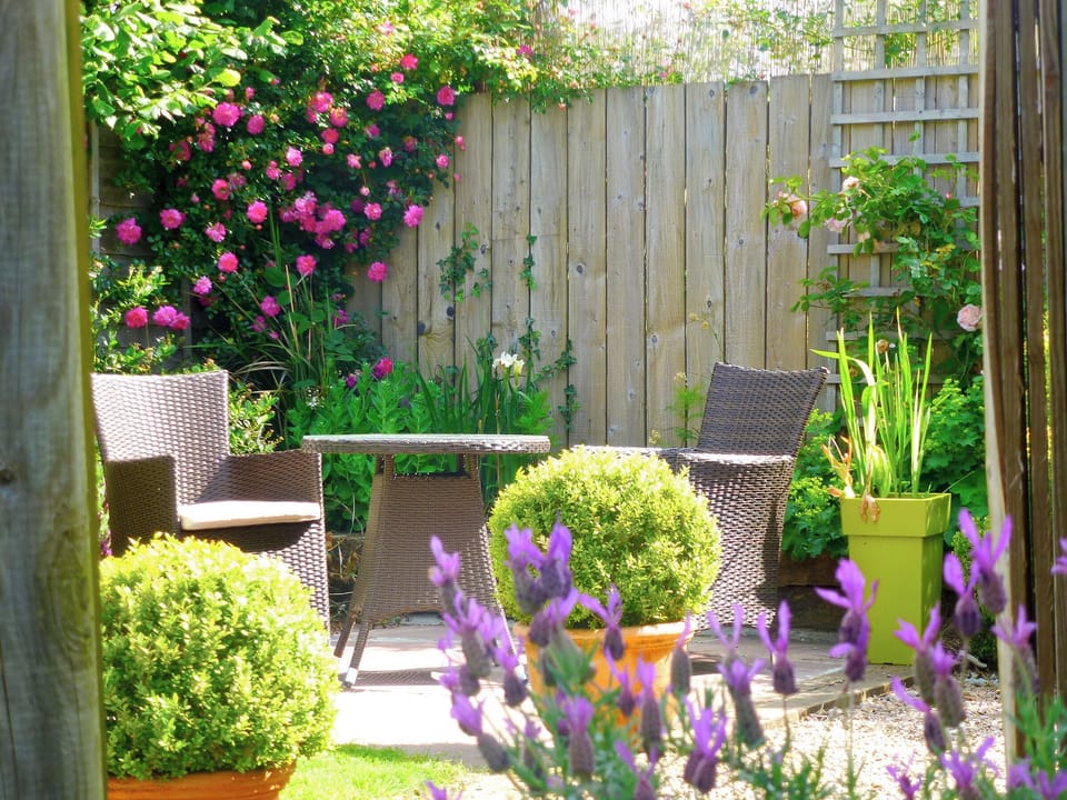 Sitting-out-area | Granny McPhee&rsquo;s Cottage, West Chilla, nr. Beaworthy