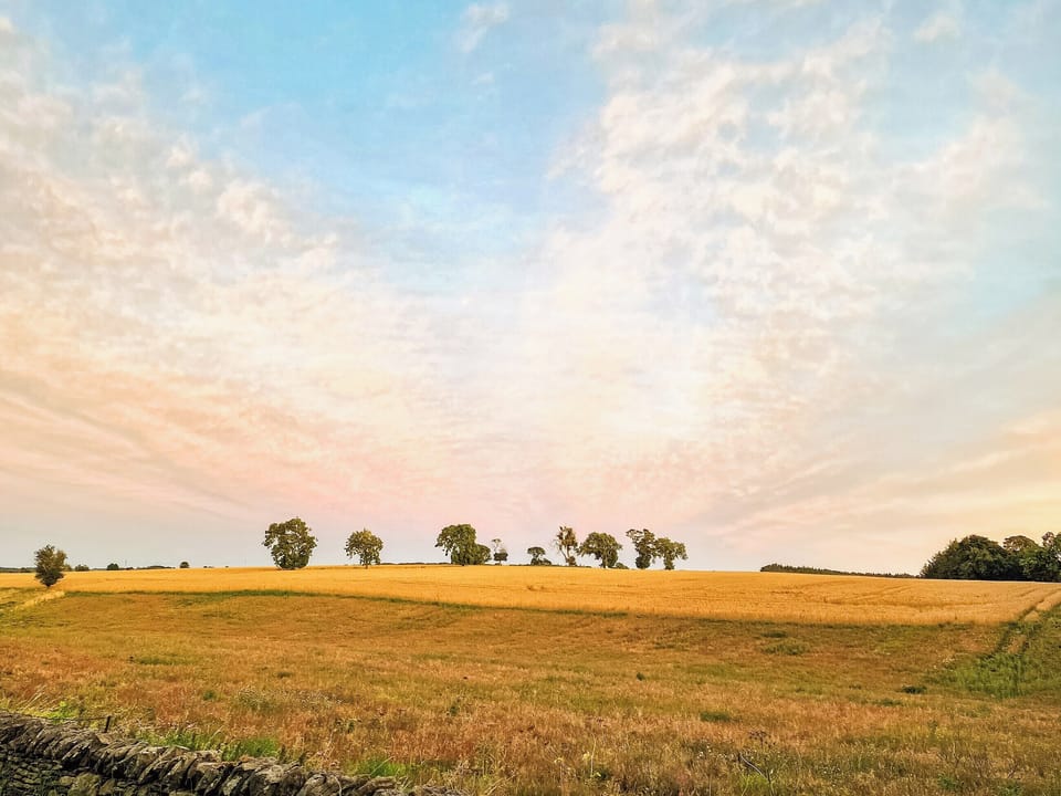 Surrounding area | Rose Cottage, Wooley, near Hexham