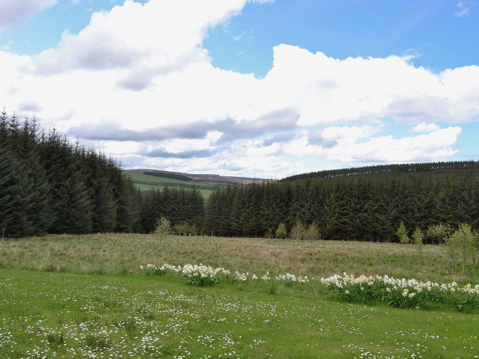 View | Jocky Milne&rsquo;s Croft, Glen Deveron, by Huntly