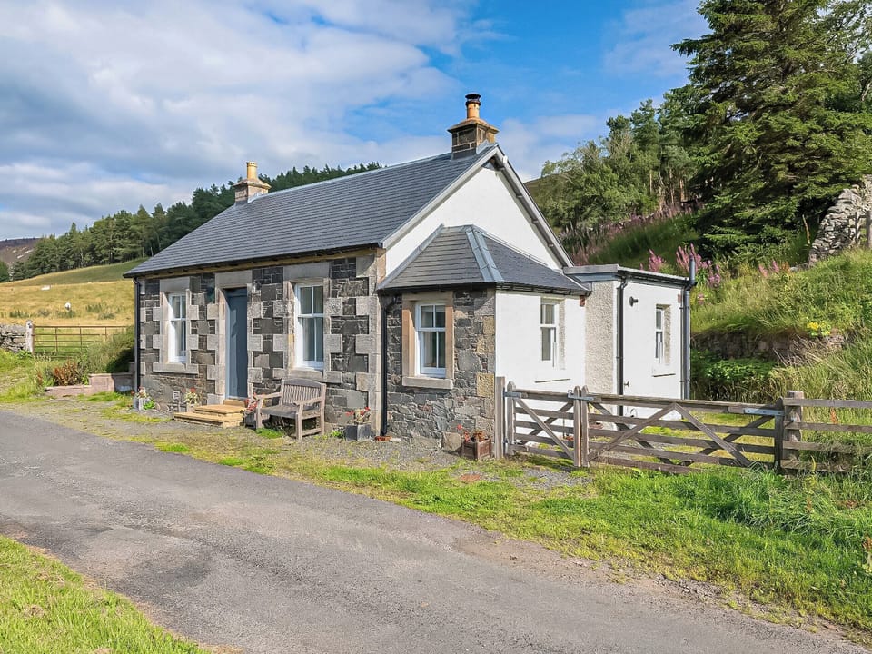 Charming holiday accommodation | Nettlebush Cottage - Drumelzier Place Farm, Drumelzier, near Peebles
