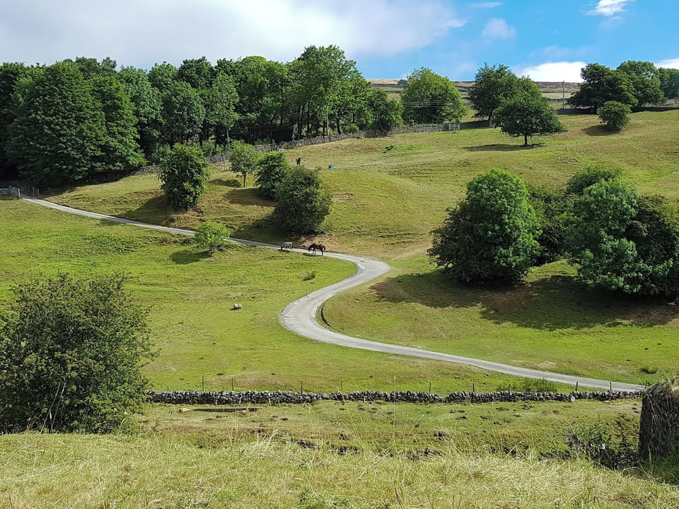 Beautiful surrounding countryside | Poppy Cottage, Hebden, near Grassington