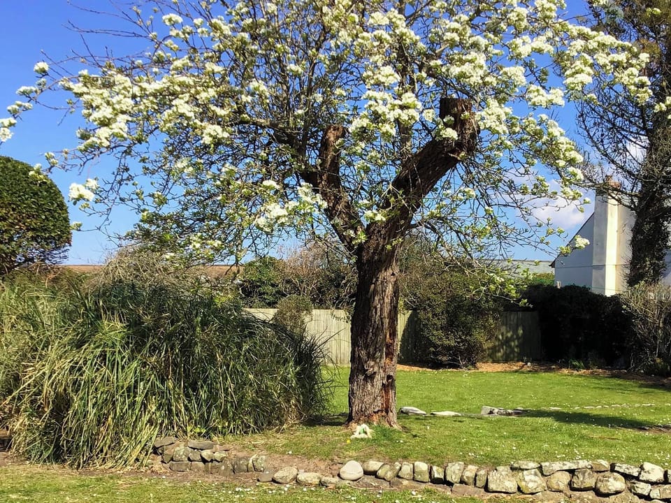 Garden | Tremaer, Bude