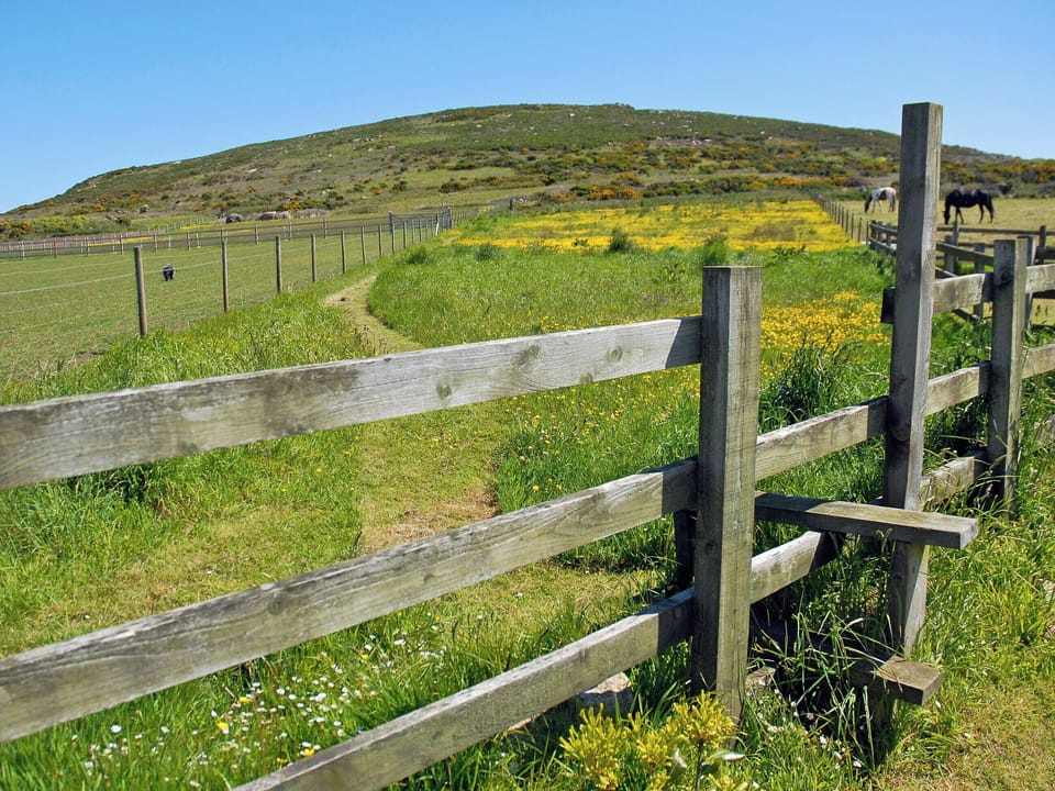Robin&rsquo;s Nest Field | Robin&rsquo;s Nest, Kerrow Farm, Sennen