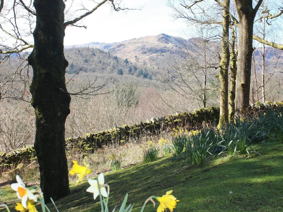 Magnificent scenery | Tarnside, Skelwith Bridge, Ambleside